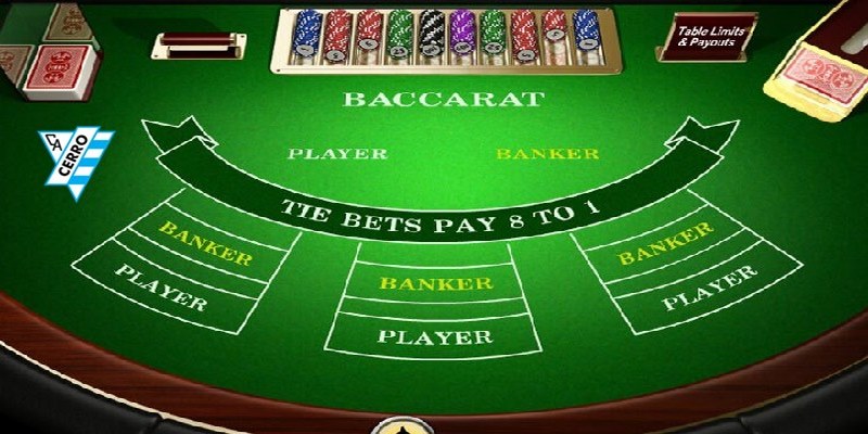 Thuật ngữ thông dụng trong cách chơi baccarat